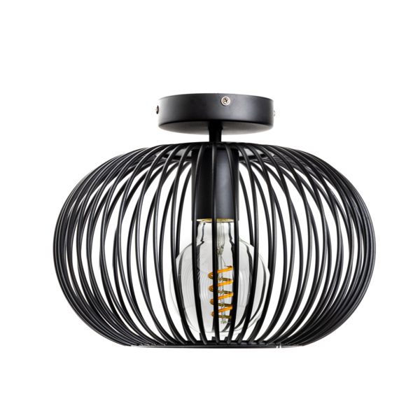 ETH Wire Ceiling Lamp