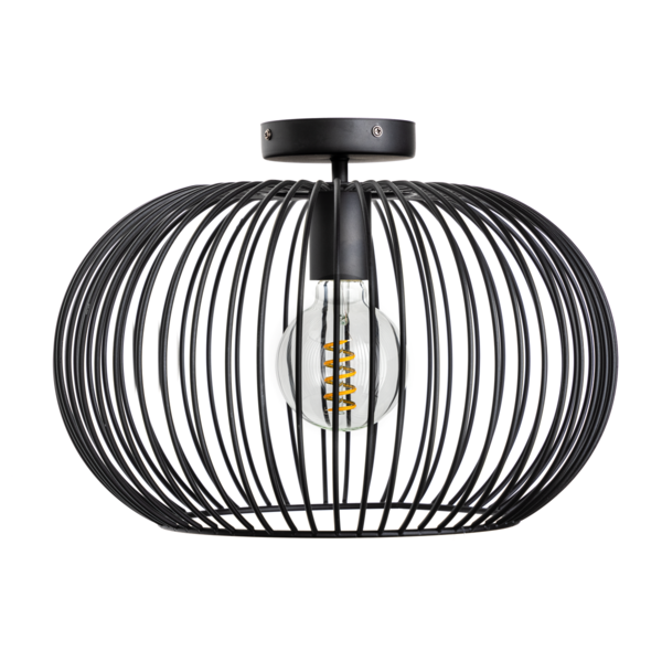 ETH Wire Ceiling Lamp