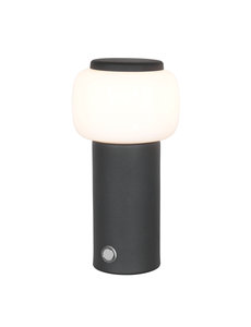 Steinhauer Table lamp Très petit