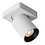 Lucide Nigel 1-light ceiling spotlight