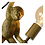 Lucide Chimp wall lamp