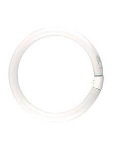 Osram TL Buis rond 22 watt