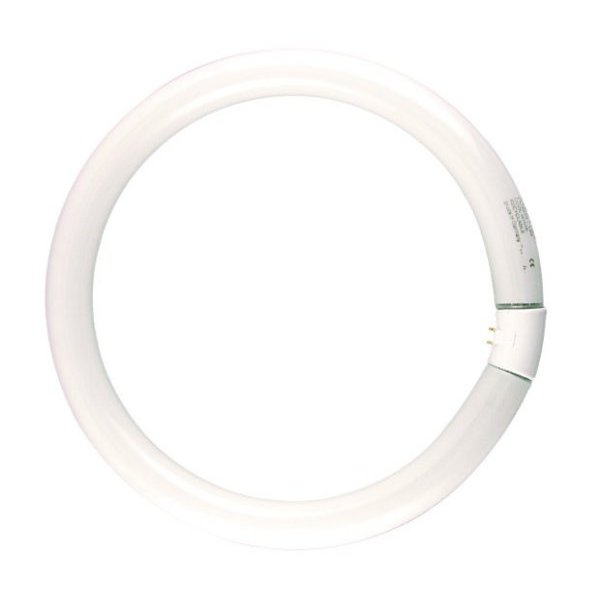 Osram TL  Buis rond 22 watt