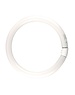 Osram TL Buis rond 22 watt