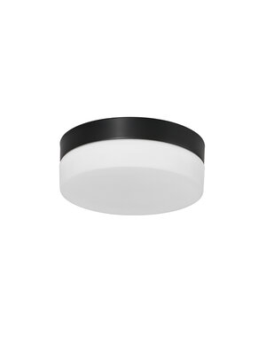 Steinhauer Plafondlamp Ikaro  Led