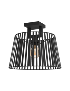 Eglo Ceiling lamp Botoga