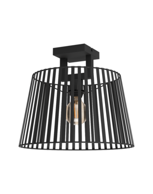 Eglo Ceiling lamp Botoga