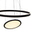 Steinhauer Ringlux duo pendant lamp
