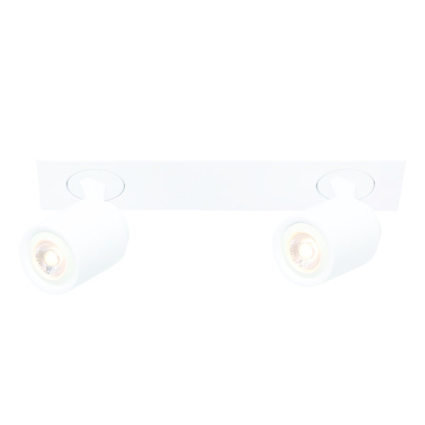 Freelight Ceiling spotlight Razza 2 lights