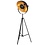 Steinhauer Floor lamp Sunflower