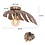 Steinhauer Ceiling lamp Leaf