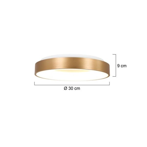 Steinhauer Ceiling lamp Ring slide 30 cm