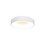 Steinhauer Ceiling lamp Ring slide 30 cm