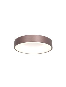 Steinhauer Ceiling lamp Ring slide 30 cm