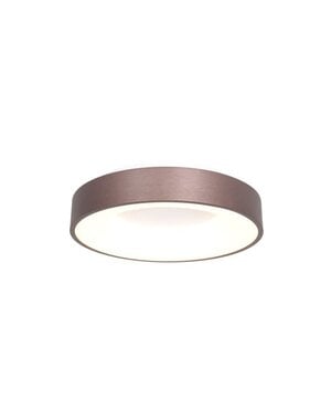 Steinhauer Ceiling lamp Ring slide 30 cm