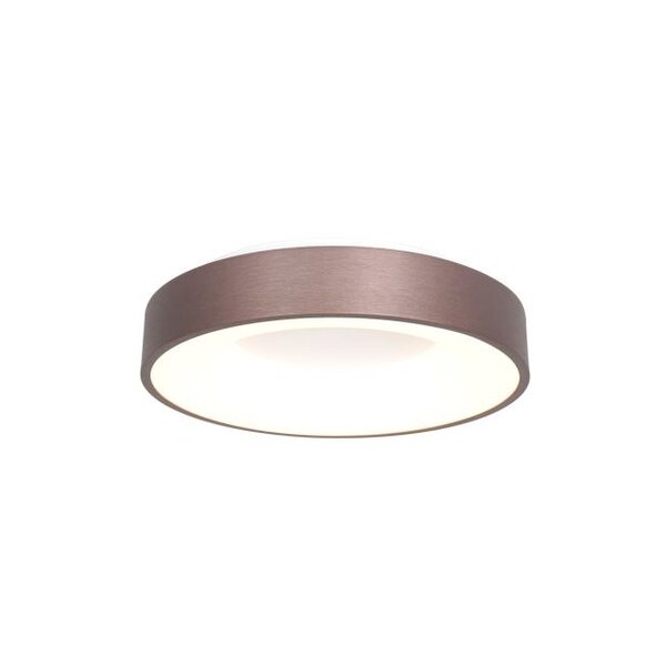 Steinhauer Ceiling lamp Ring slide 30 cm