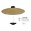 Master Light Ceiling lamp Zyan