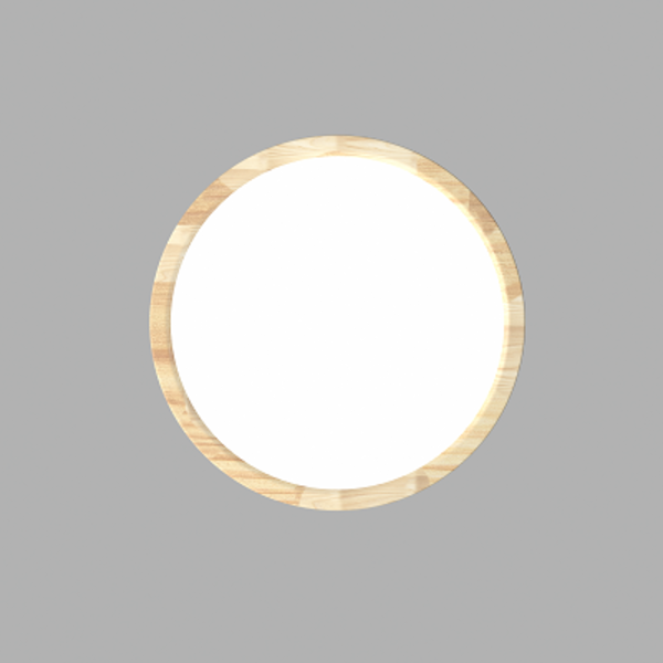ETH Ceiling lamp Ruby