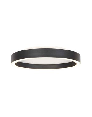 Steinhauer Plafondlamp Ringlux 30 -40 cm