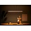 Steinhauer Zelena LED pendant lamp