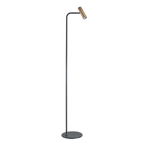 HighLight  Floor lamp-reading lamp Trend