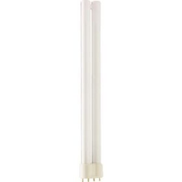 ETH PL lamp 4 pins