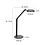 Steinhauer Ringlux desk lamp