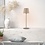 Paul Neuhaus Table lamp Just Light