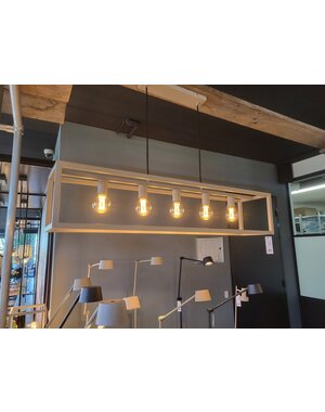 Freelight Hanglamp Esteso