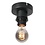 Steinhauer Plafondlamp Bloeba