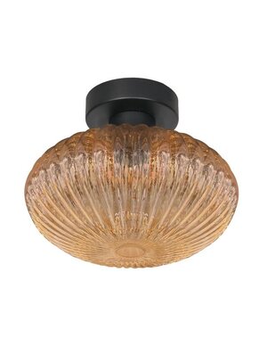 Steinhauer Bloeba glass ceiling lamp