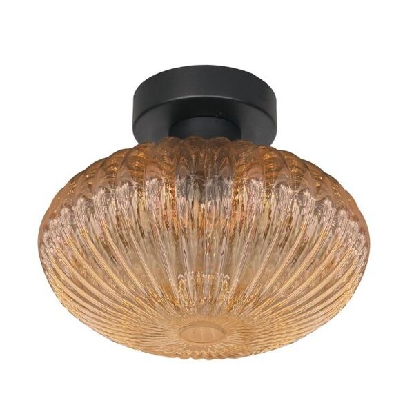 Steinhauer Bloeba glass ceiling lamp