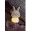 Lucide Kinderlamp Pincha