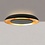 Steinhauer Golden Veil ceiling lamp