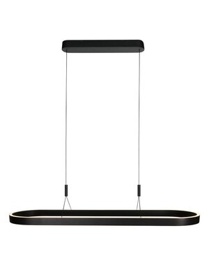 Steinhauer Mykty oval pendant lamp