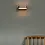 Lucide Silvi wall lamp