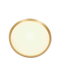 Steinhauer Plafondlamp Flady 30 cm