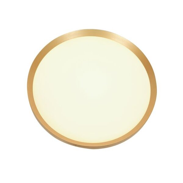 Steinhauer Plafondlamp Flady 30 cm