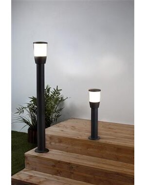 Searchlight Tucson Outpost