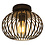 Freelight Aglio ceiling lamp