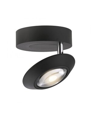 Paul Neuhaus PURE Oculis Ceiling Lamp