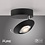 Paul Neuhaus PURE Oculis Ceiling Lamp