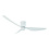 Freelight Ceiling fan Arioso