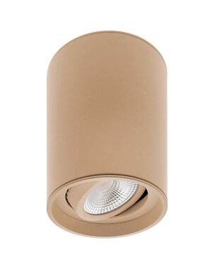ETH Surface-mounted spotlight Viggo