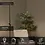Lucide Celeste floor lamp with spotlight
