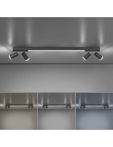 Paul Neuhaus Plafondlamp Pure Lines spot