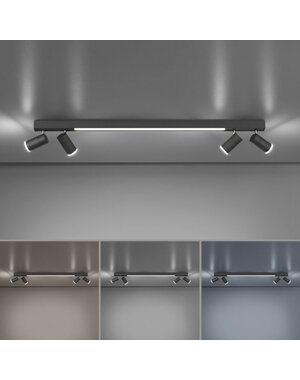 Paul Neuhaus Plafondlamp Pure Lines spot