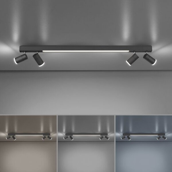 Paul Neuhaus Ceiling lamp Pure Lines spot