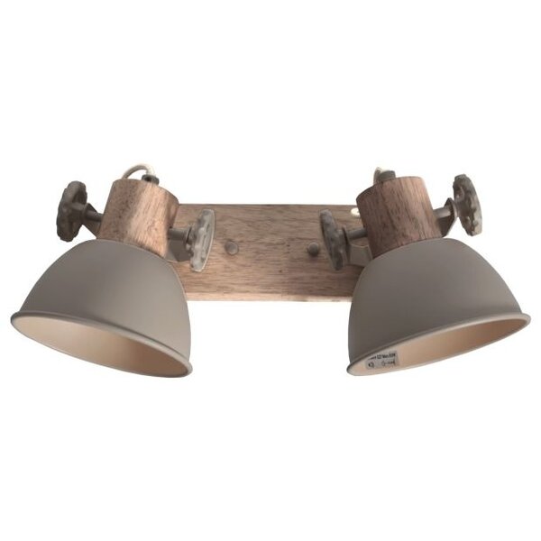 Steinhauer Gearwood 2-light spotlight