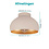 Eglo Mogano Ceiling Lamp